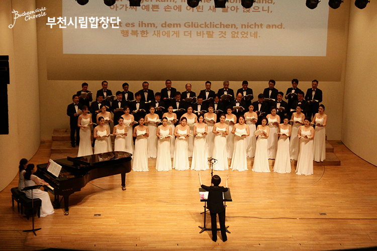 IMG_7817 - 복사본.JPG